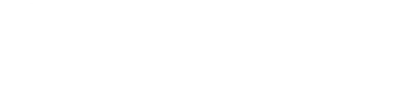 파트너